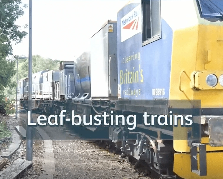 YT_Short_Leaf-bustingTrain_portrait_v3 (1)