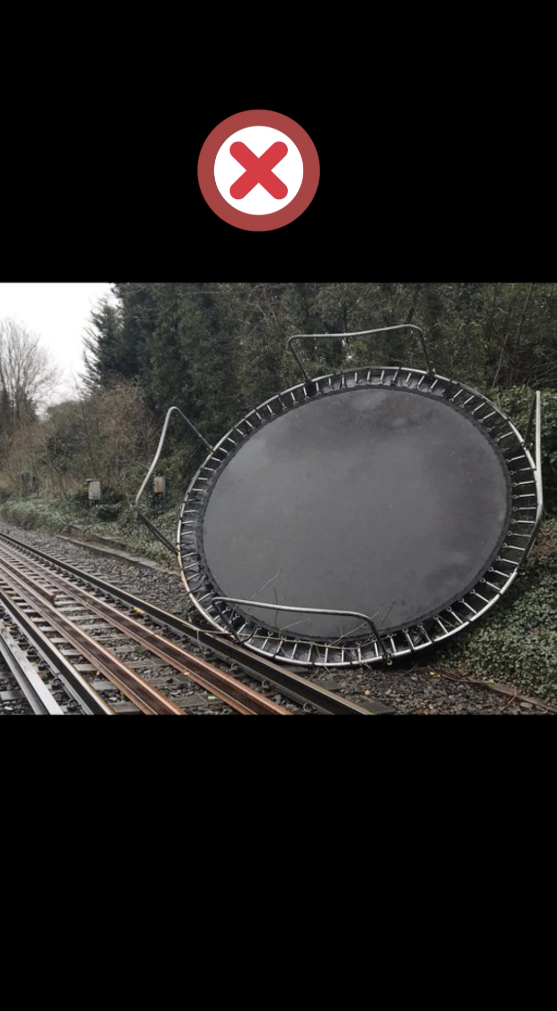 TrampolineGIF1_portrait